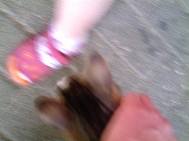  !!! 