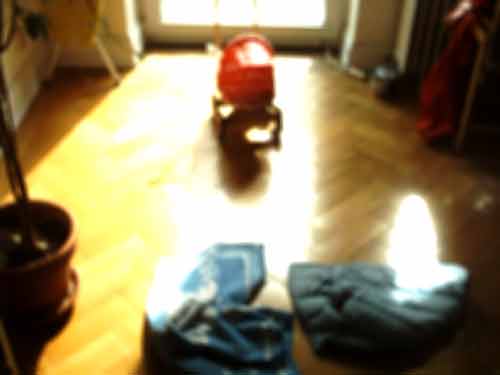 wohnung_im_sonnenschein.jpg
