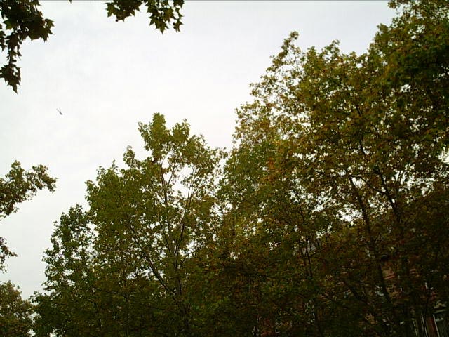  !!! 