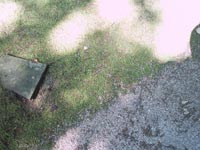 IMAGE0008.JPG.jpg