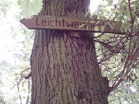 IMAGE0025.JPG.jpg