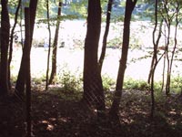 IMAGE0026.JPG.jpg