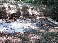 IMAGE0028.JPG.jpg