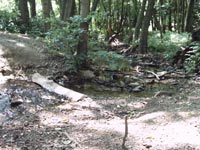 IMAGE0030.JPG.jpg