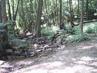 IMAGE0031.JPG.jpg