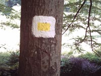 IMAGE0047.JPG.jpg