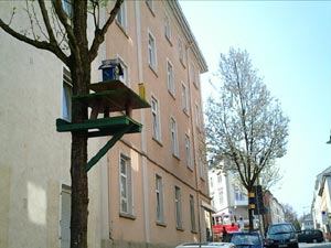 03.jpg