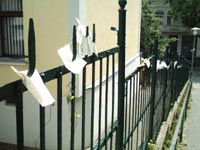 IMAGE0003.JPG.jpg