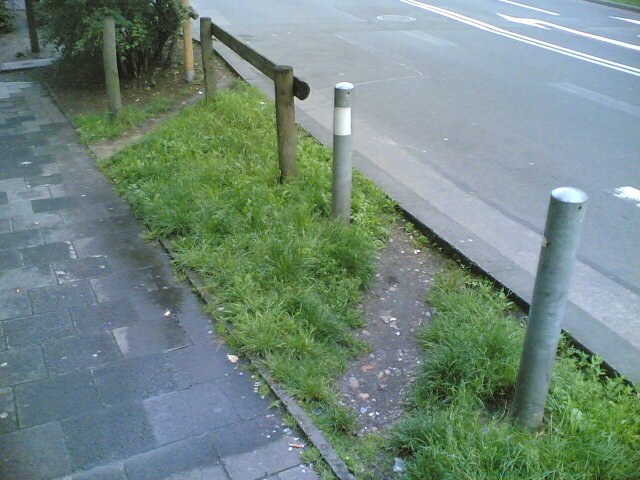 04072007(002).jpg
